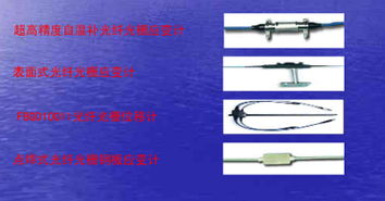 煤礦安全生產(chǎn)系統(tǒng)解決方案 2008中國安防盤點(diǎn)與技術(shù)設(shè)計(jì)服務(wù)